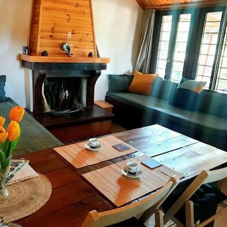 The Happy Cottage Ioannina Extérieur photo